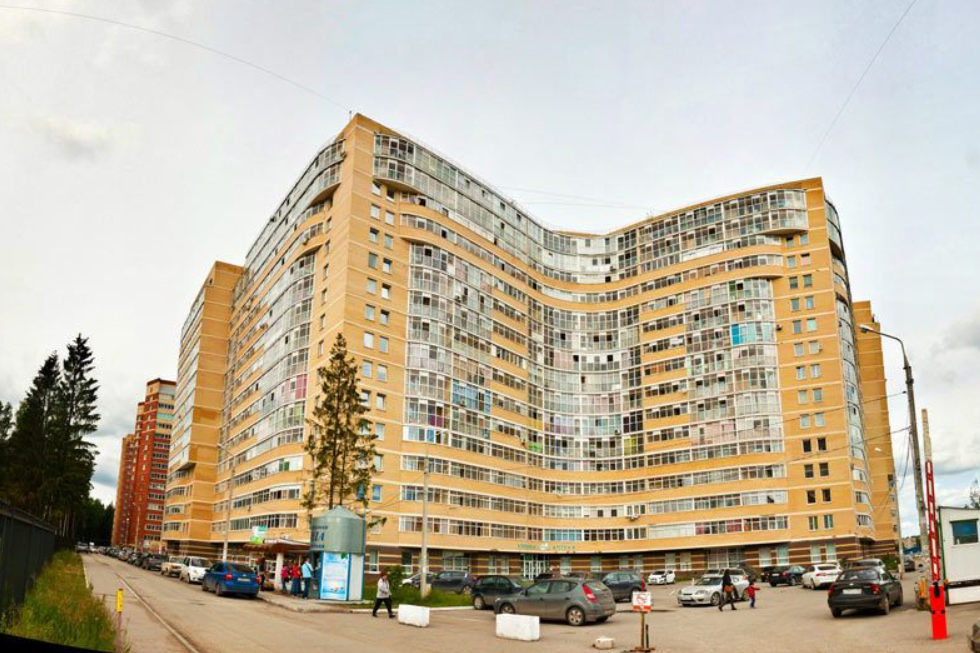 Боровики